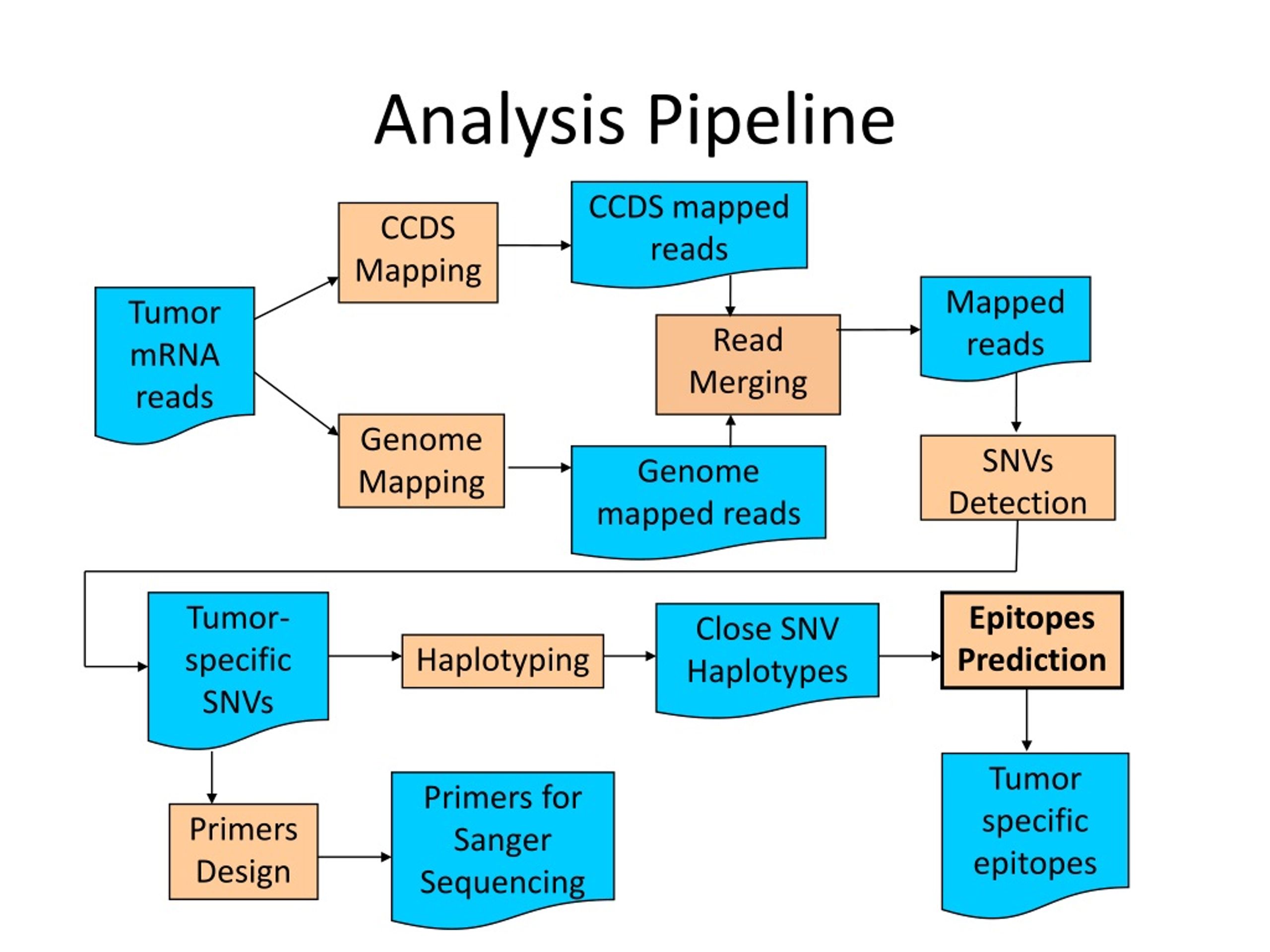 PPT - Bioinformatics Methods For Diagnosis And Treatment Of Human ...