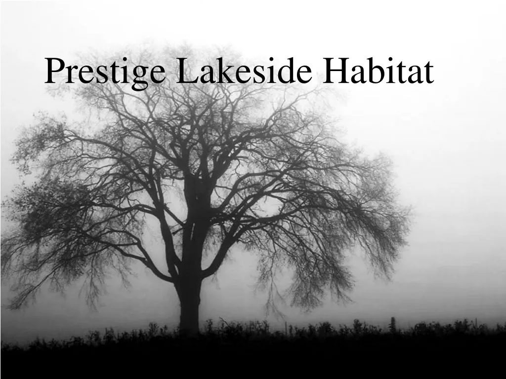 prestige lakeside habitat n.
