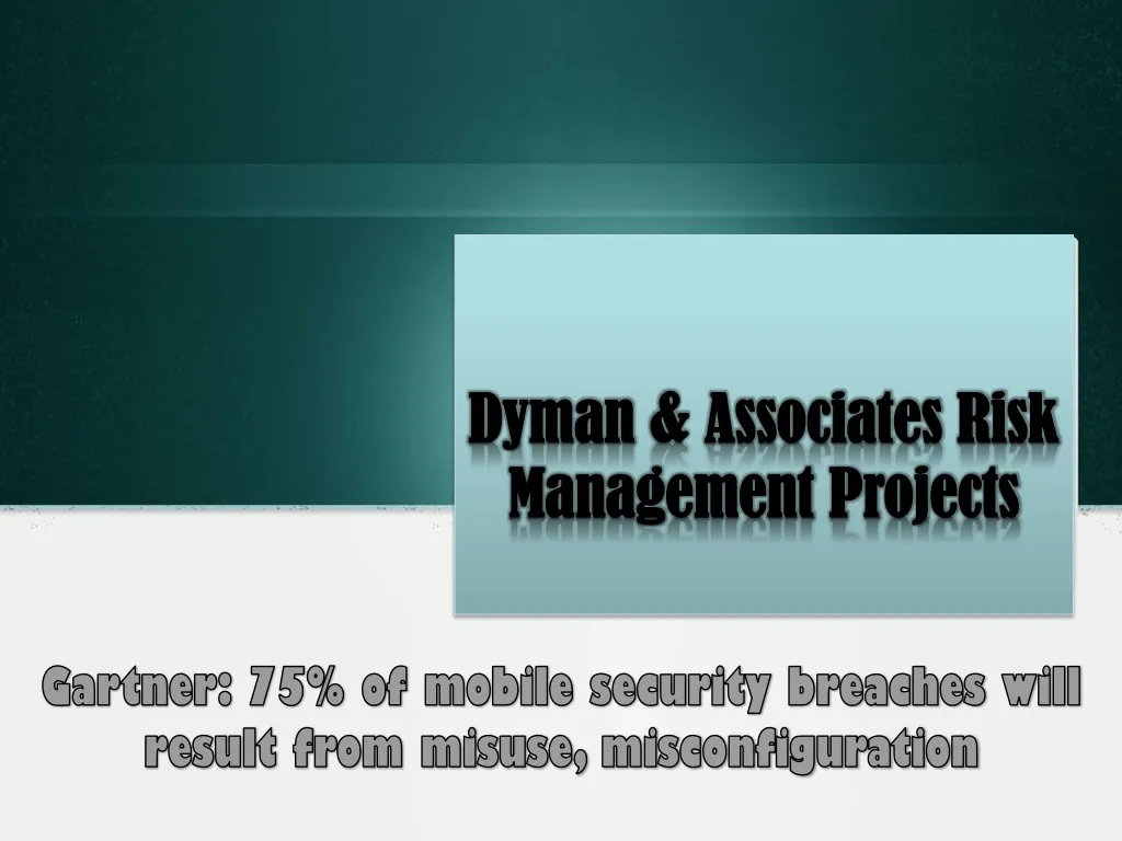 dyman associates risk management projects n.