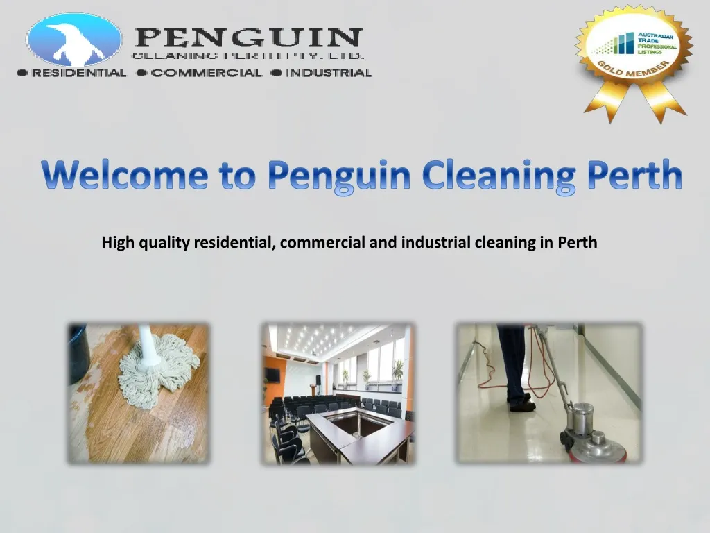 welcome to penguin cleaning perth n.