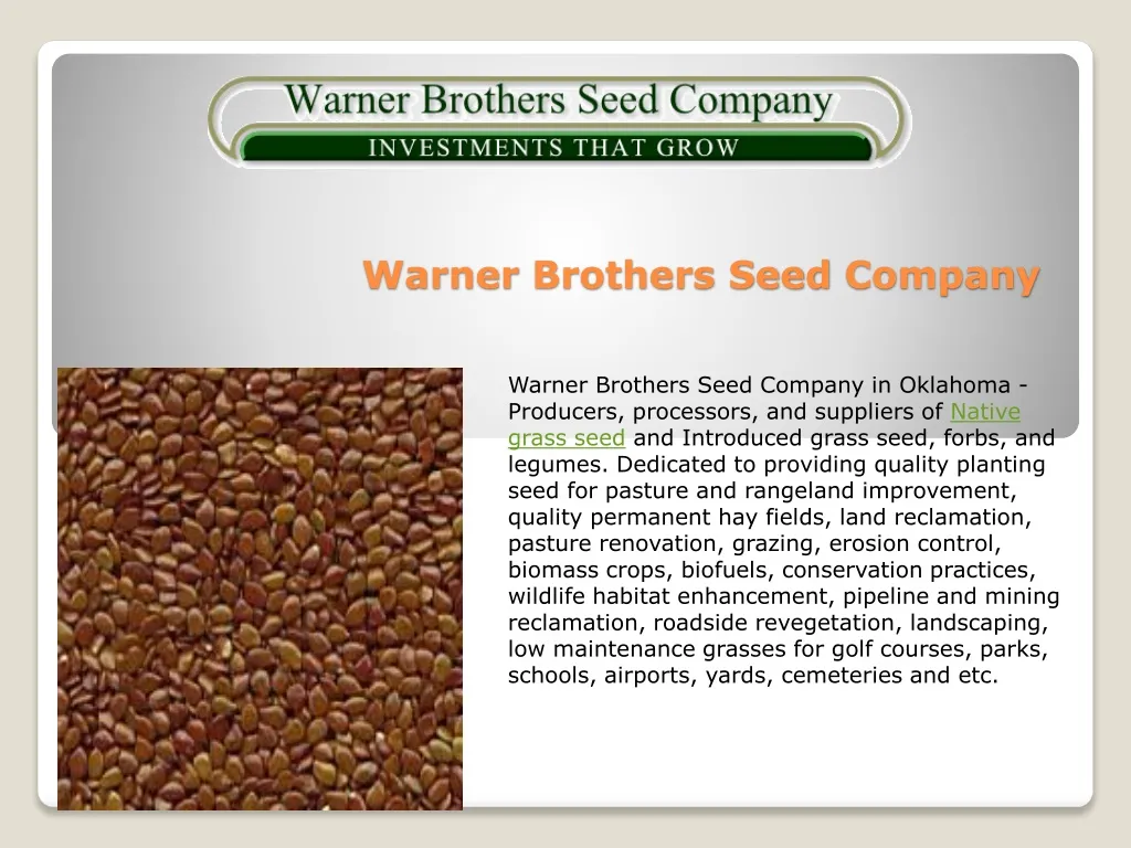 warner brothers seed company n.