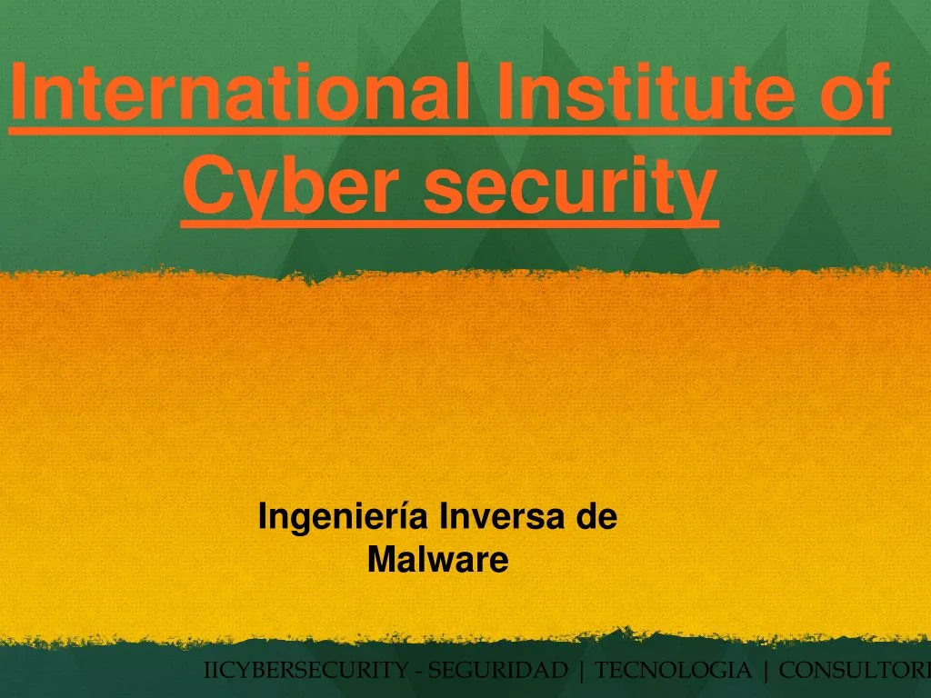 international institute of cyber security n.