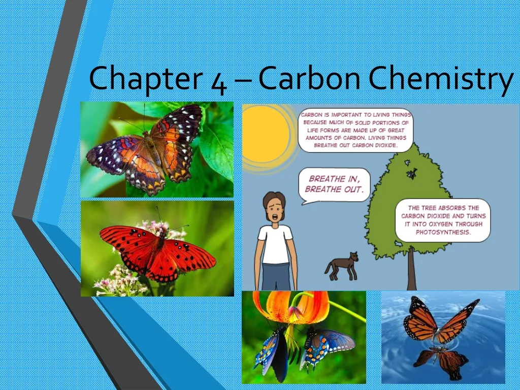 chapter 4 carbon chemistry n.