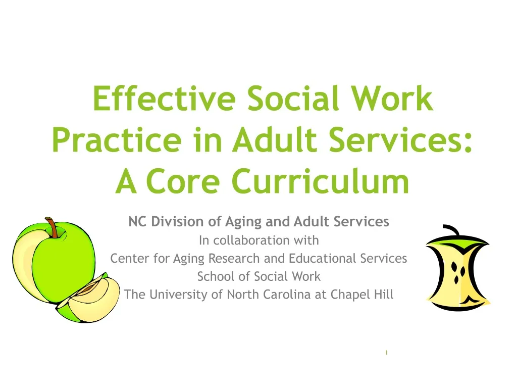 effective social work practice in adult services a core curriculum n.