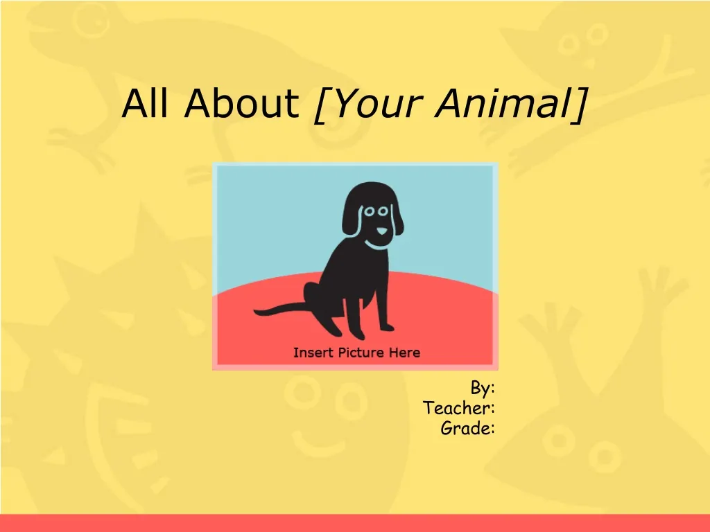 all about your animal n.
