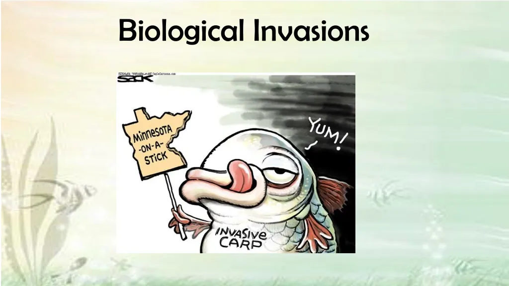 biological invasions n.