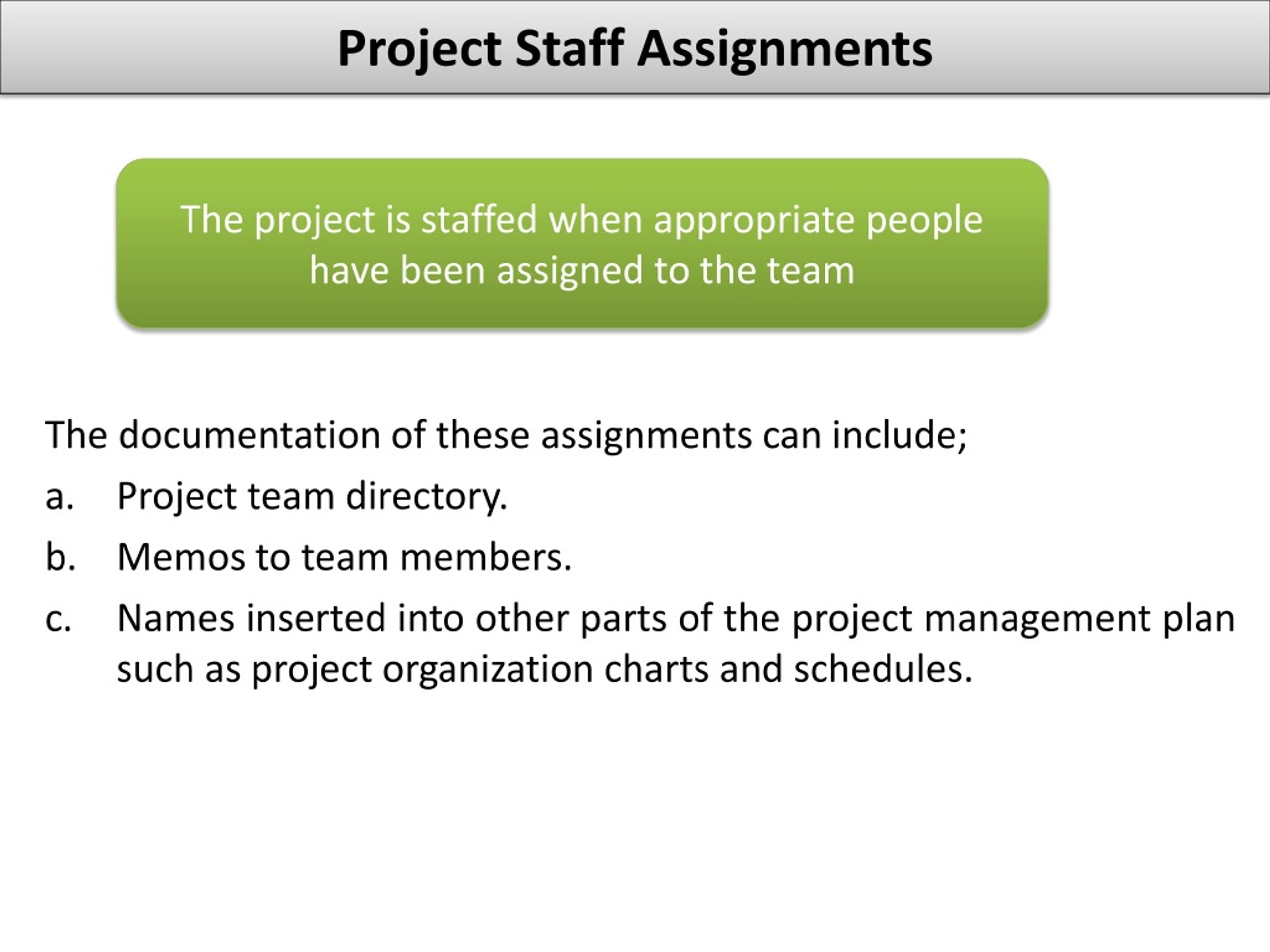 project staff assignments