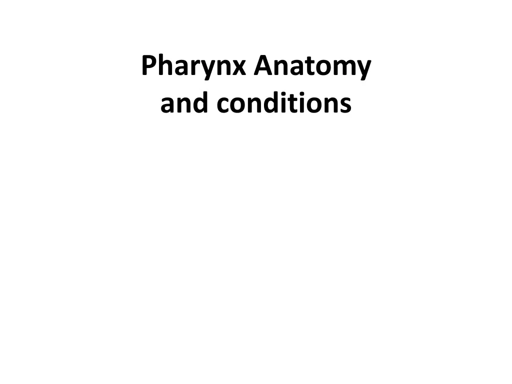 pharynx anatomy and conditions n.