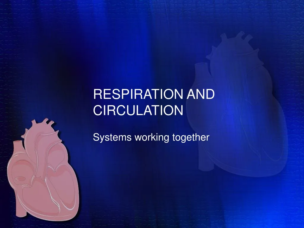 respiration and circulation n.