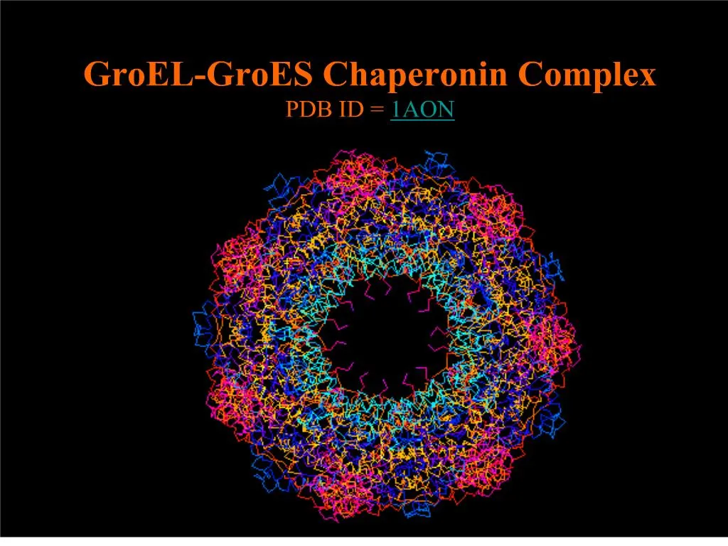 molecular chaperone definition biology