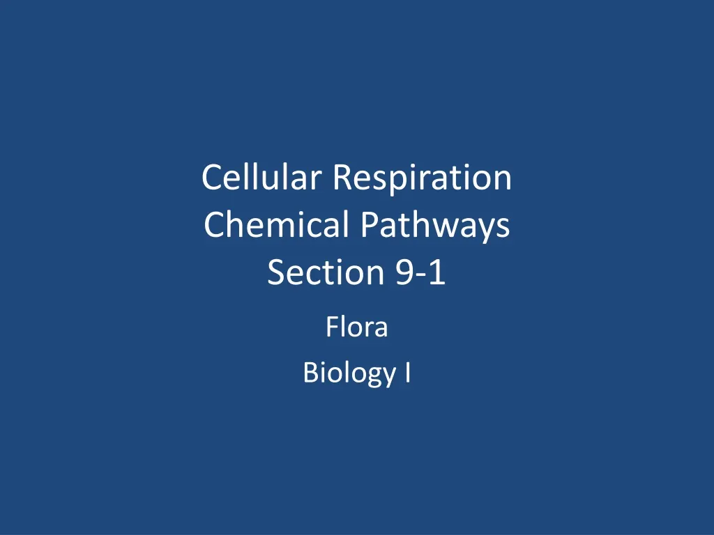 cellular respiration chemical pathways section 9 1 n.
