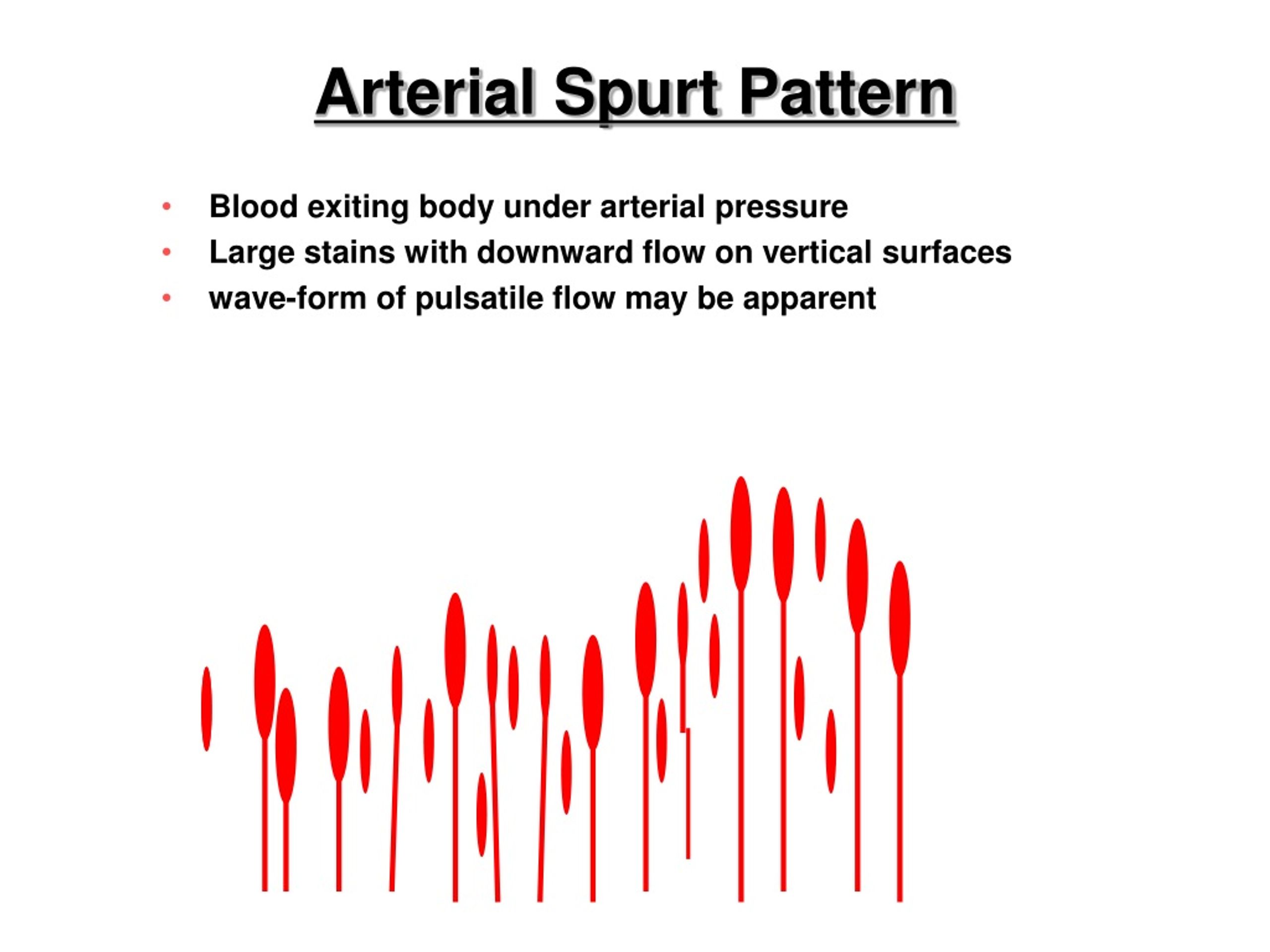 PPT Forensic Science Lab Activity PowerPoint Presentation, free