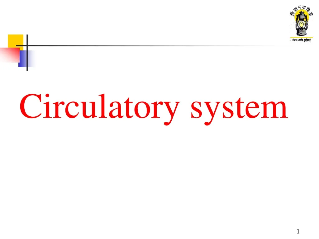 circulatory system n.