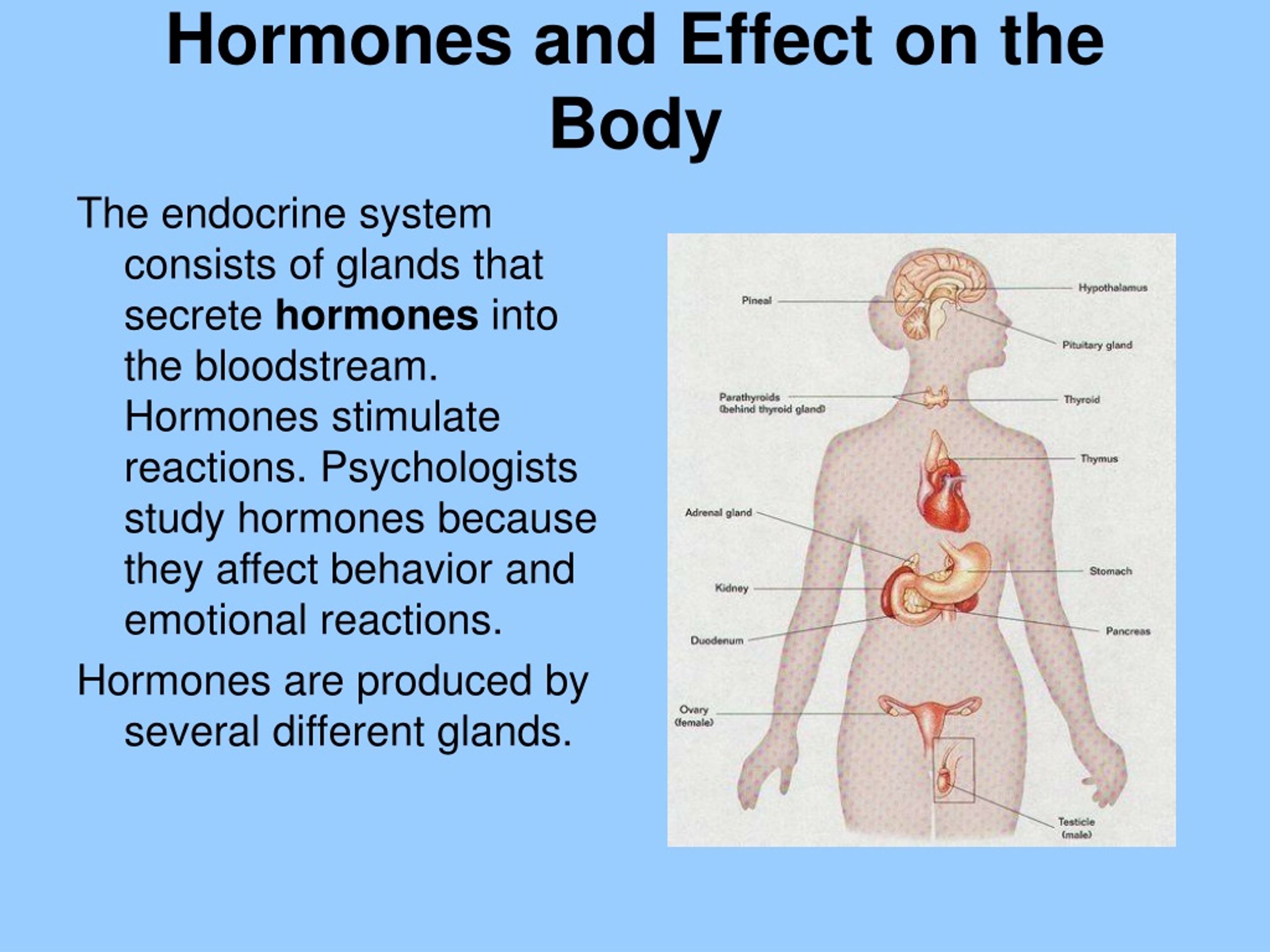 do hormones travel around the body