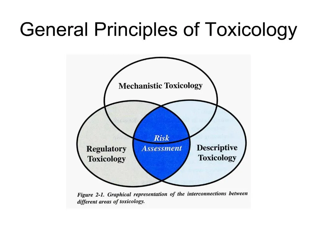 PPT - General Principles Of Toxicology PowerPoint Presentation, Free ...