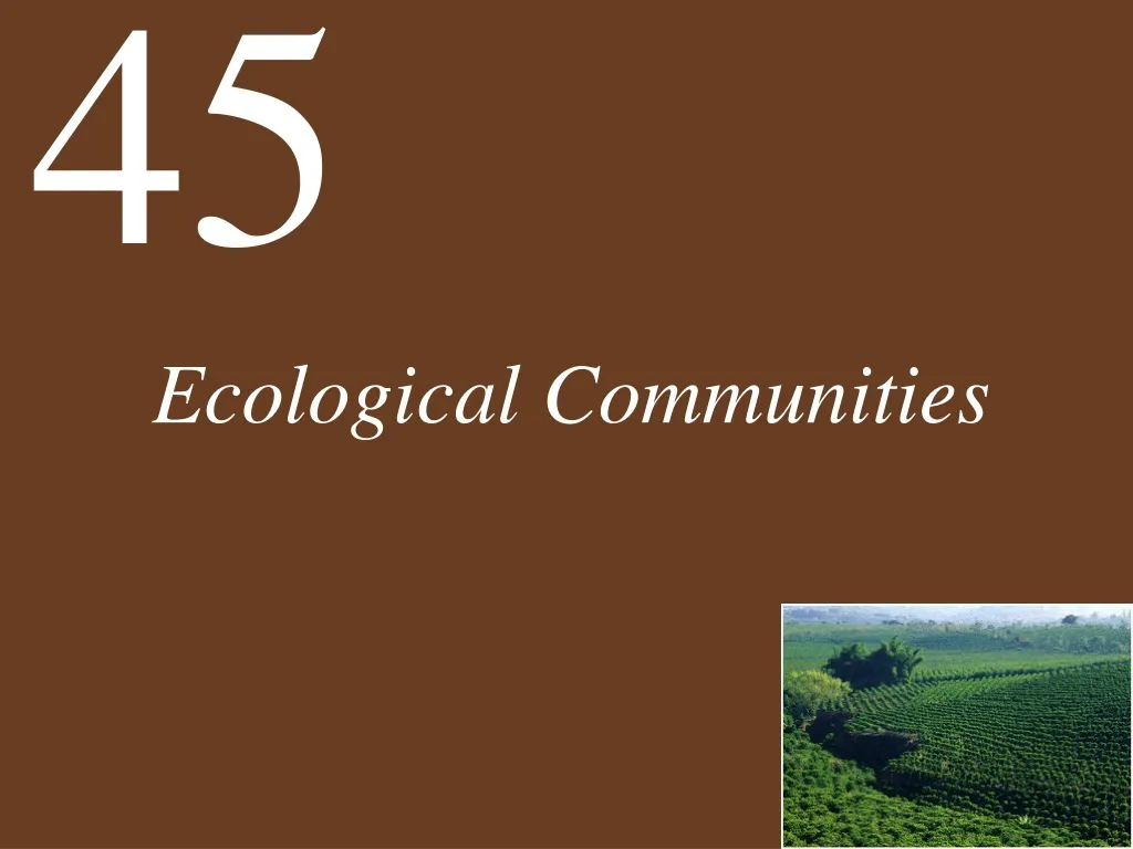 ecological communities n.