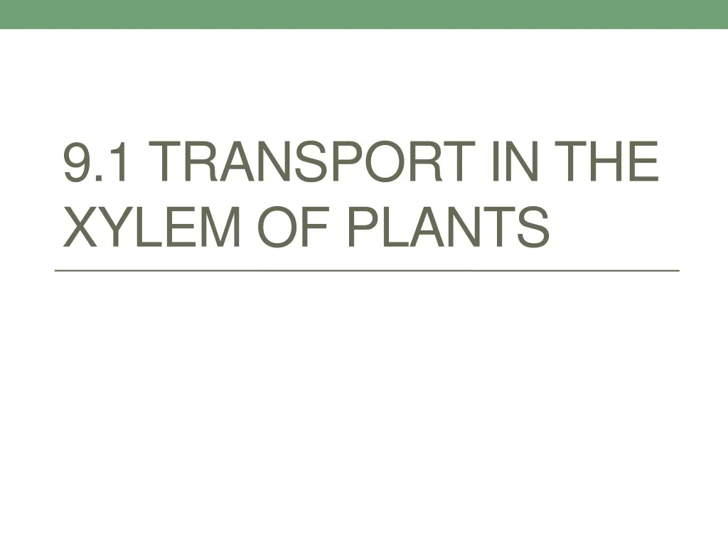 PPT - 9.1 Transport In The Xylem Of Plants PowerPoint Presentation ...