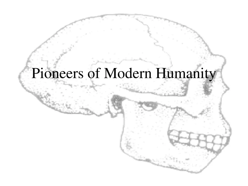 pioneers of modern humanity n.