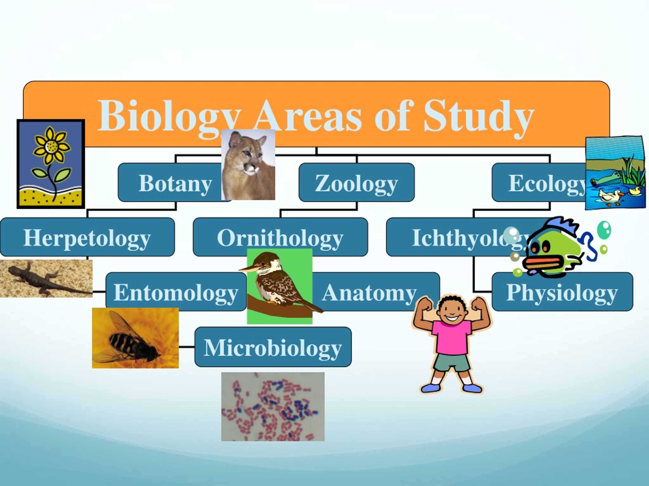 key biology research areas