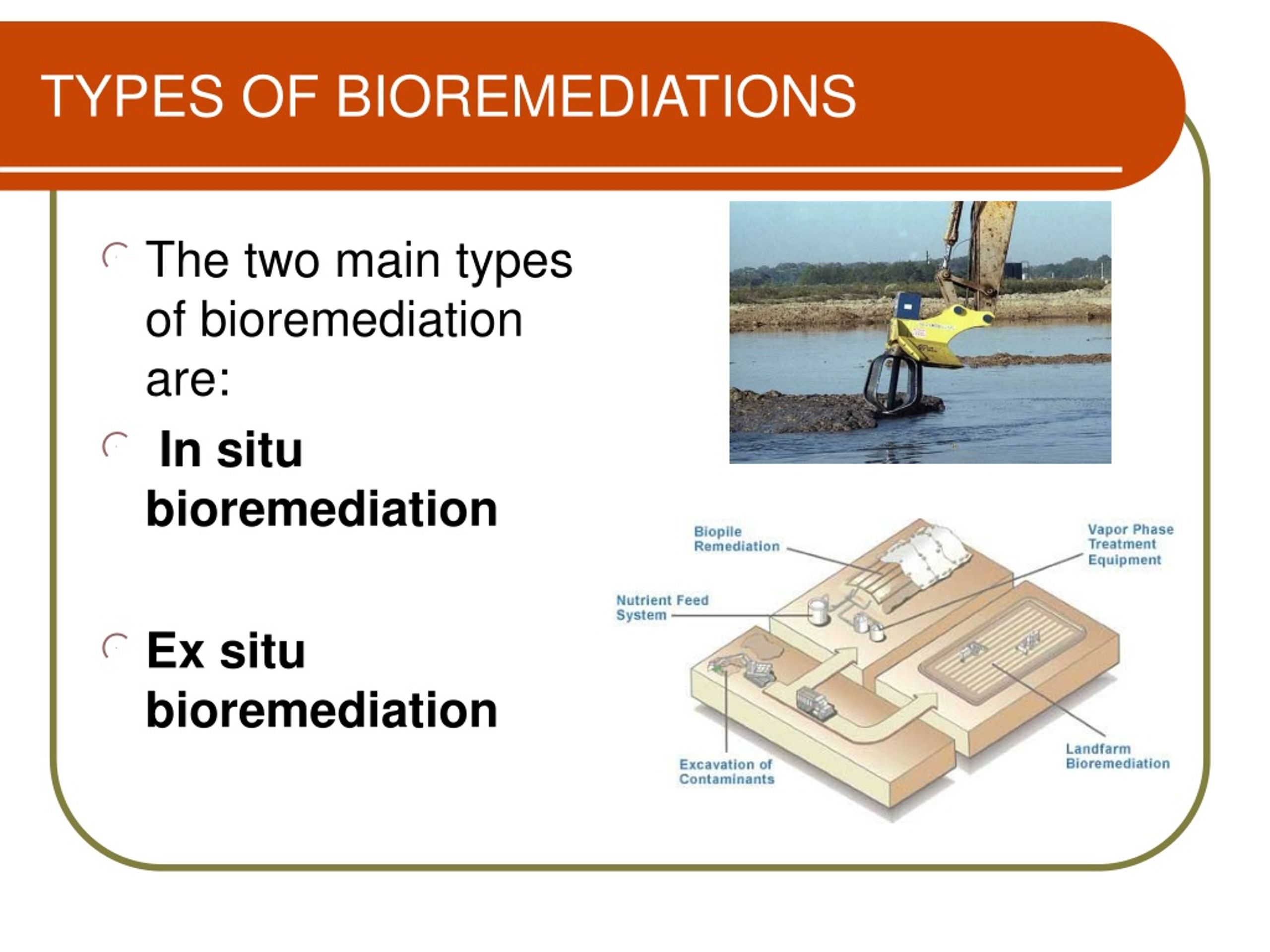 PPT PRESENTATION TOPIC CONTAMINATED LAND AND BIOREMEDIATION PowerPoint Presentation ID