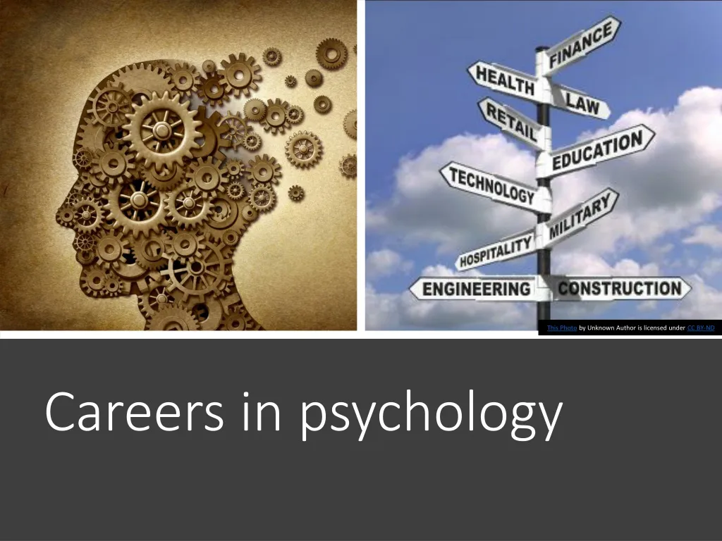 PPT Careers in psychology PowerPoint Presentation, free