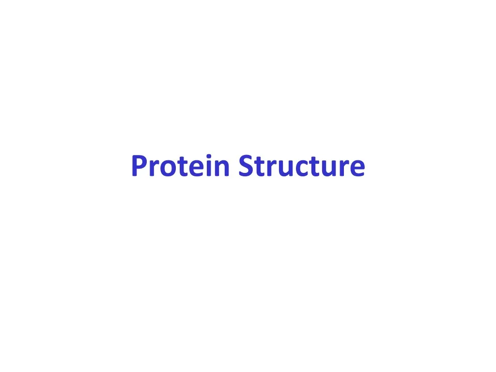 protein structure n.