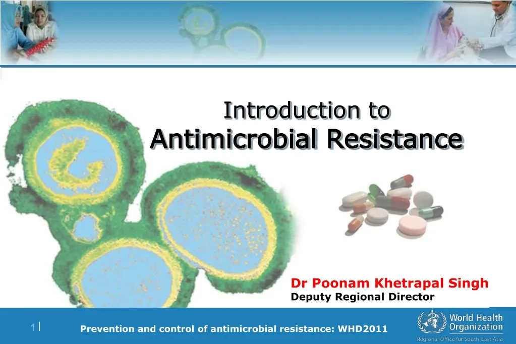 PPT - Introduction to Antimicrobial Resistance PowerPoint Presentation ...