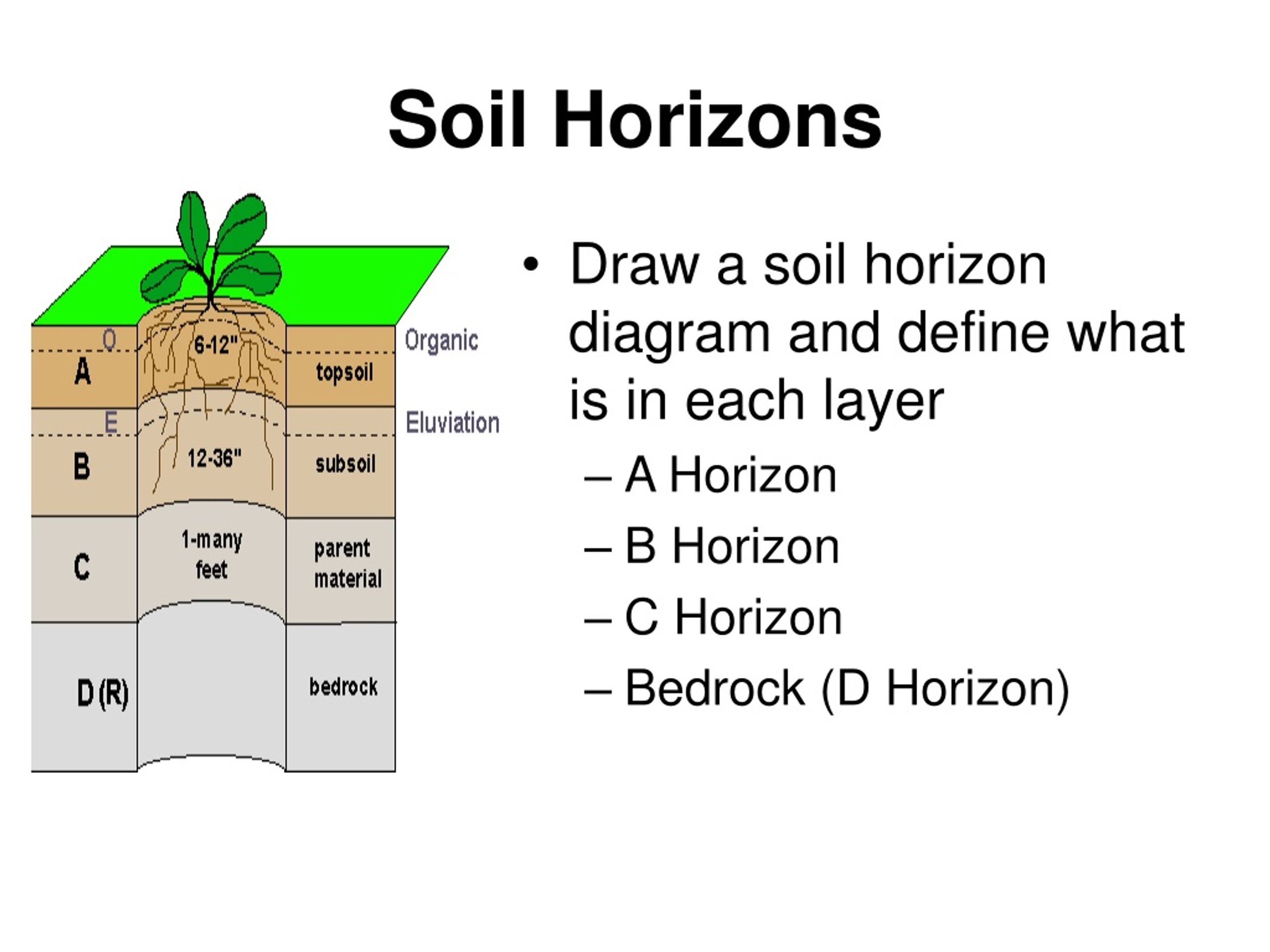 Different climate. Soil Horizons.