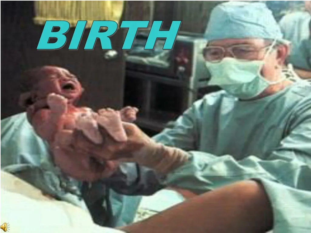 birth n.