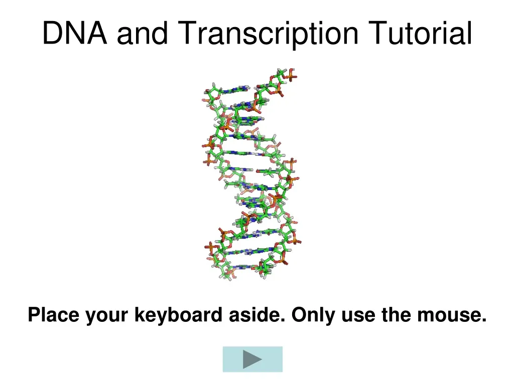 dna and transcription tutorial n.