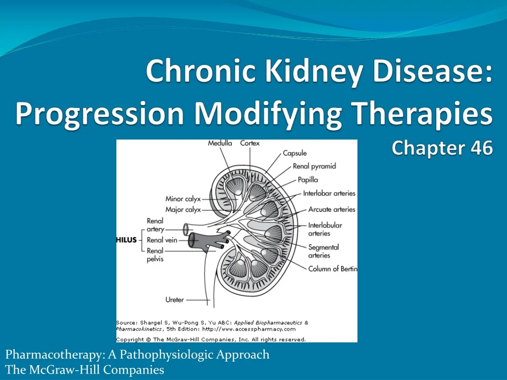 chronic kidney disease progression modifying therapies chapter 46 n.