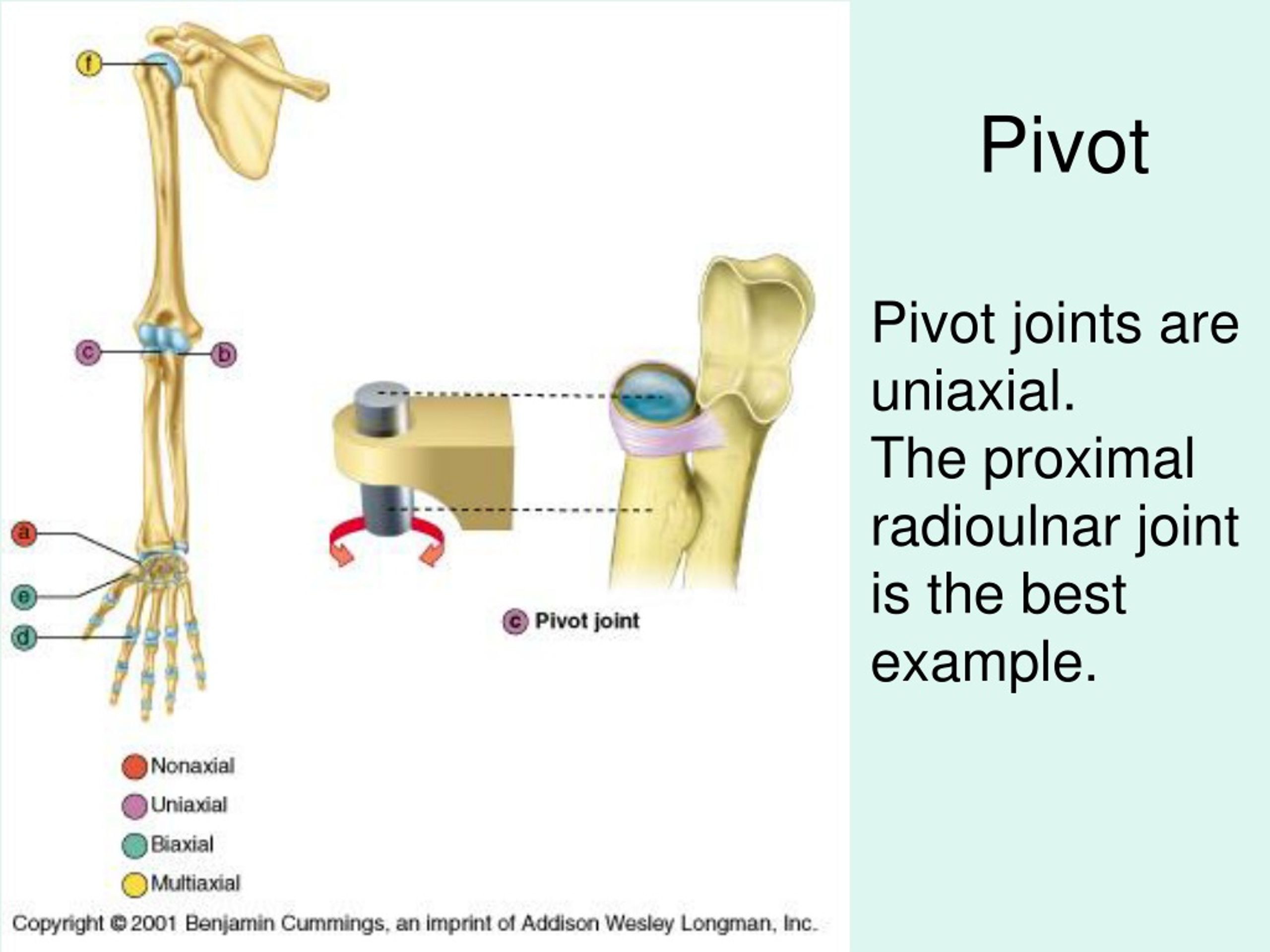 PPT Articulations PowerPoint Presentation Free Download ID 172647