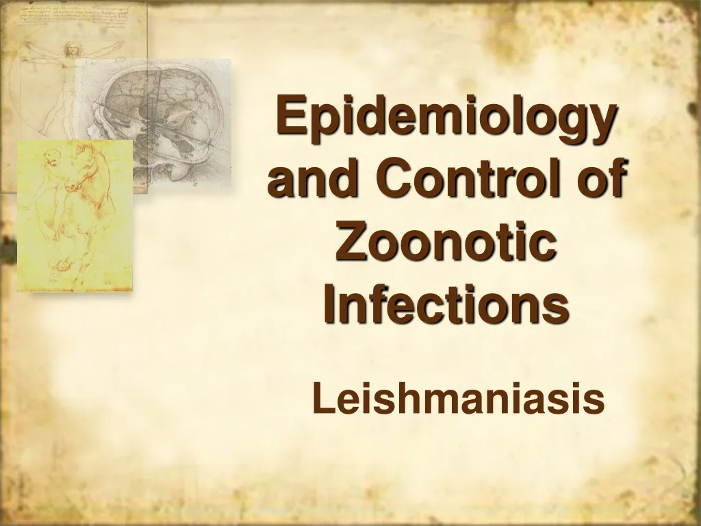 epidemiology and control of zoonotic infections n.