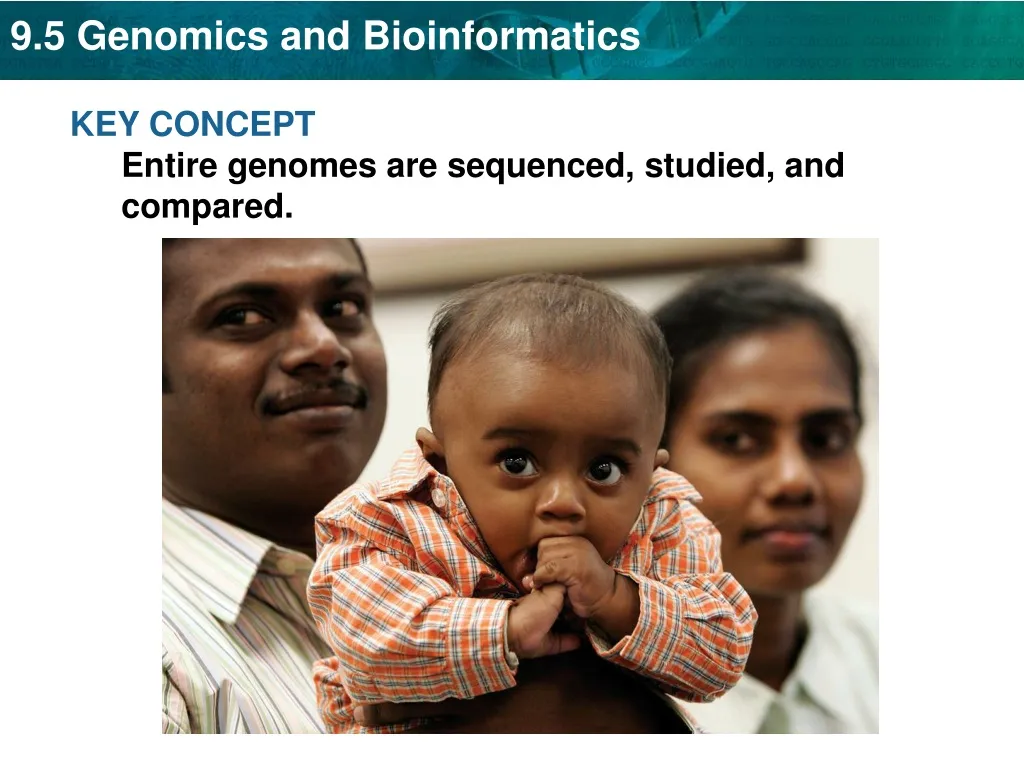 key concept entire genomes are sequenced studied n.