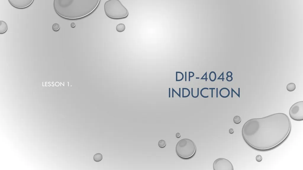 dip 4048 induction n.