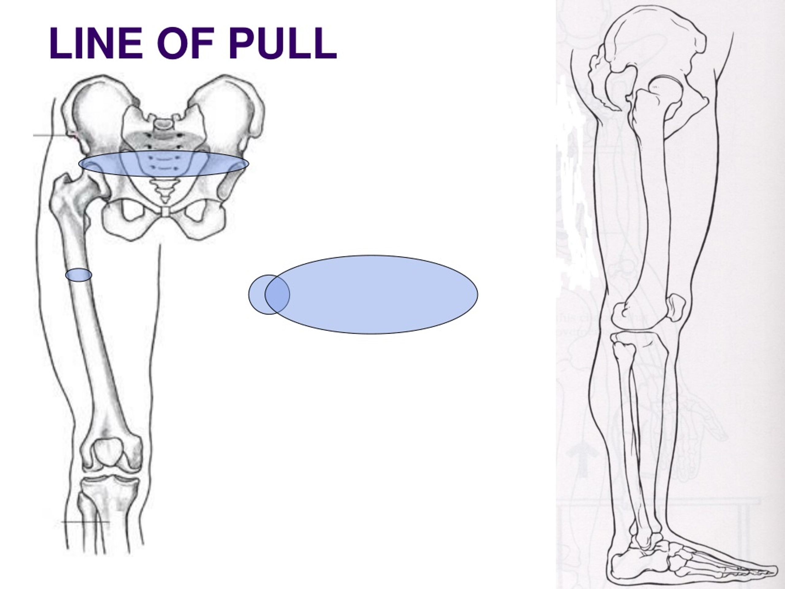 weighted-pull-up-benefits-muscles-worked-and-more-inspire-us