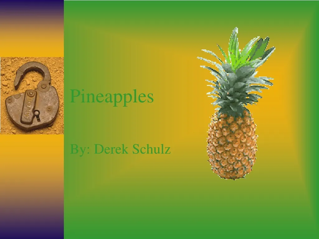 pineapples n.