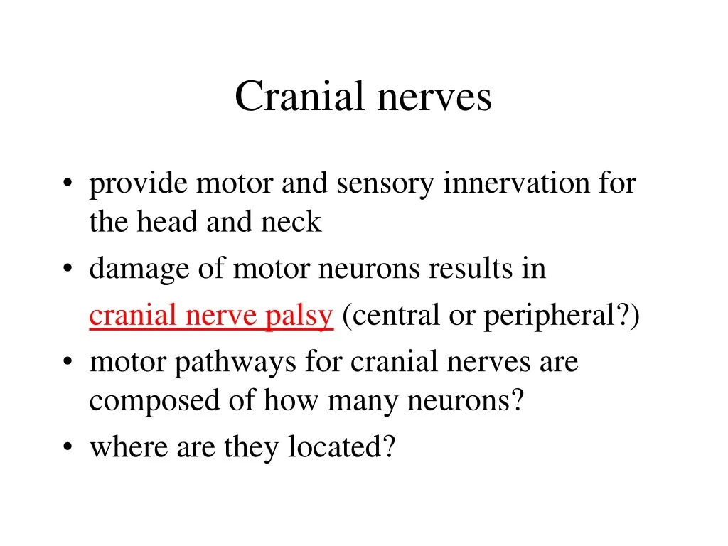 cranial nerves n.