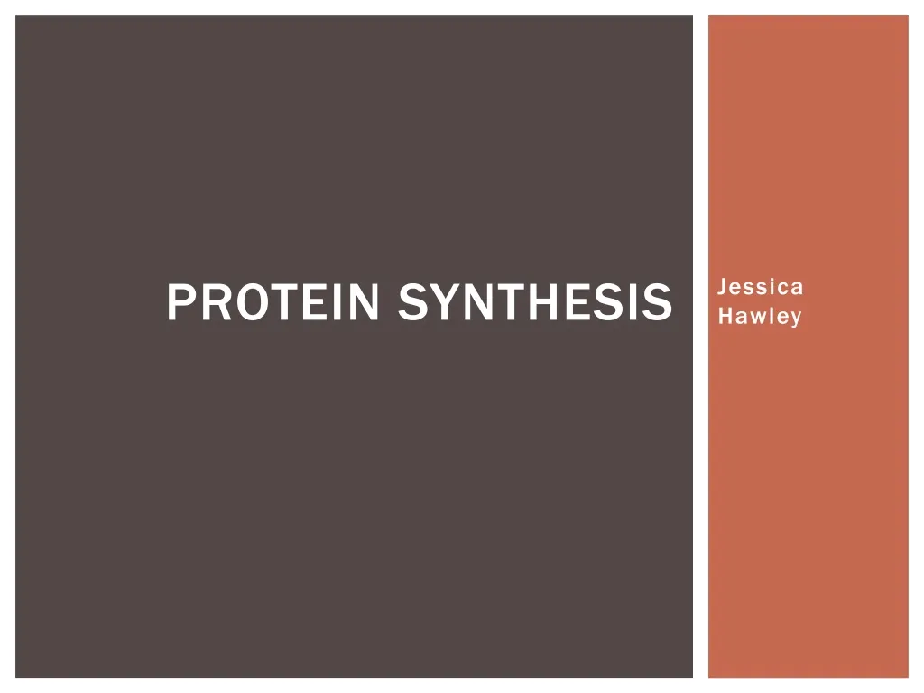 protein synthesis n.