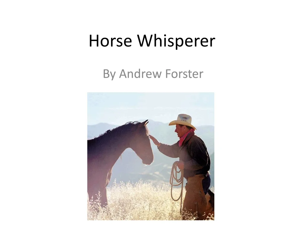 horse whisperer n.