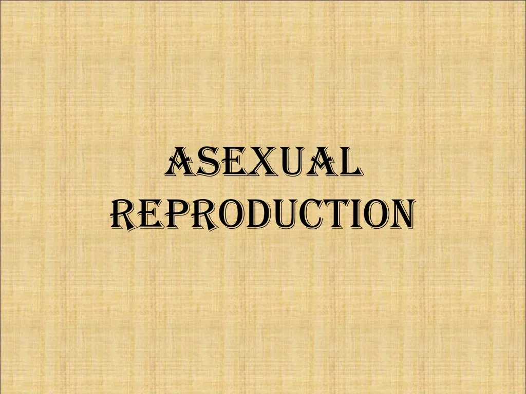 asexual reproduction n.