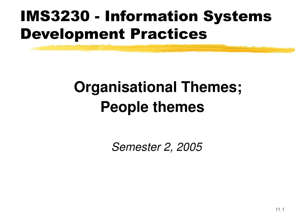 ims3230 information systems development practices n.