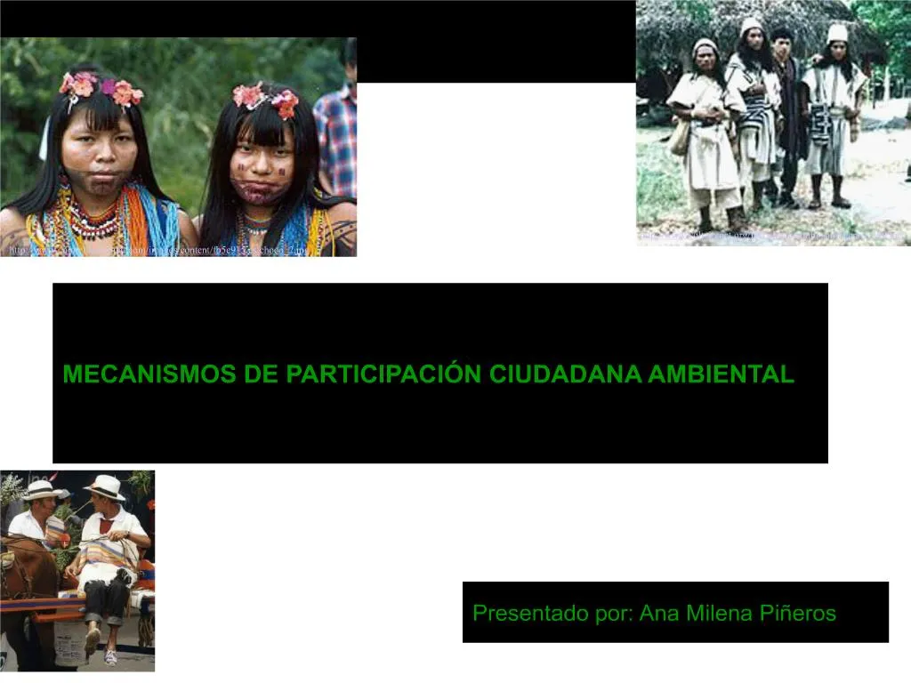 PPT MECANISMOS DE PARTICIPACI N CIUDADANA AMBIENTAL PowerPoint 