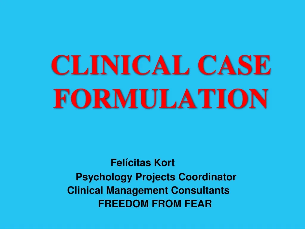 clinical case formulation n.