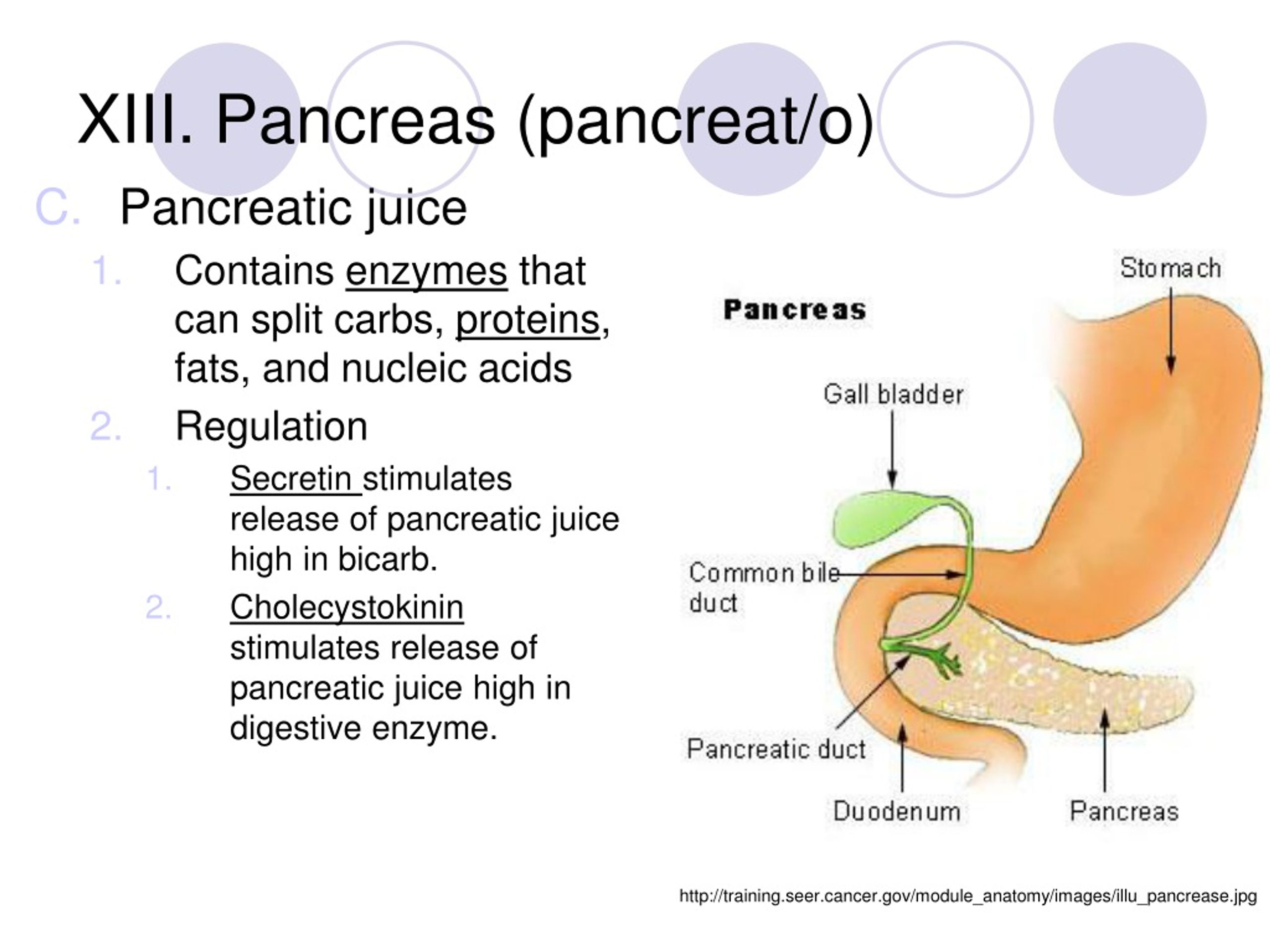 Como cuidar el pancreas