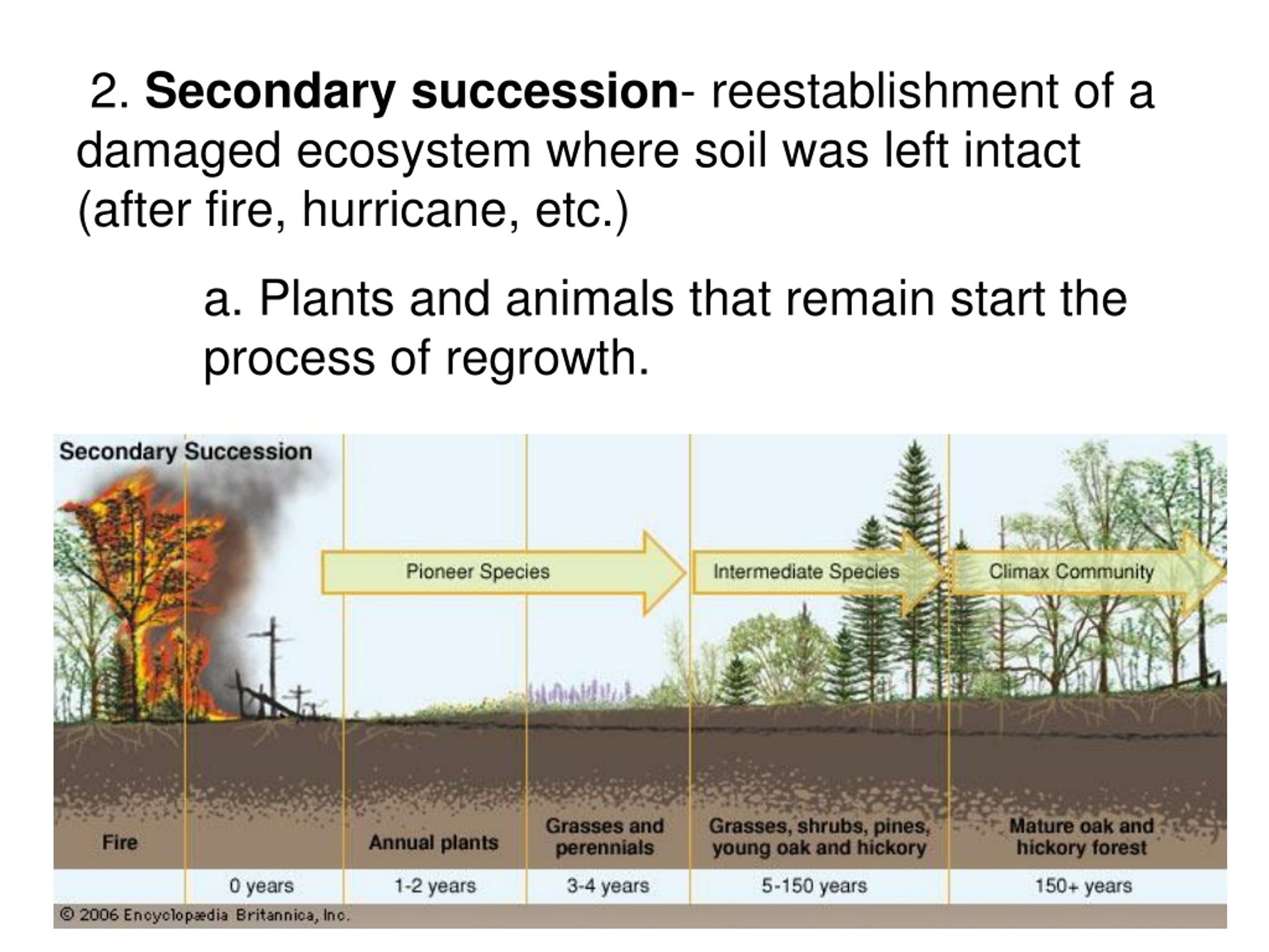 PPT - UNIT 5 Chapter 14 Interactions In Ecosystems PowerPoint ...