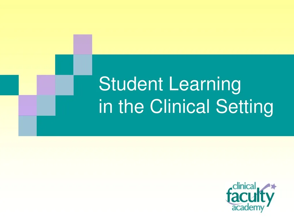student learning in the clinical setting n.