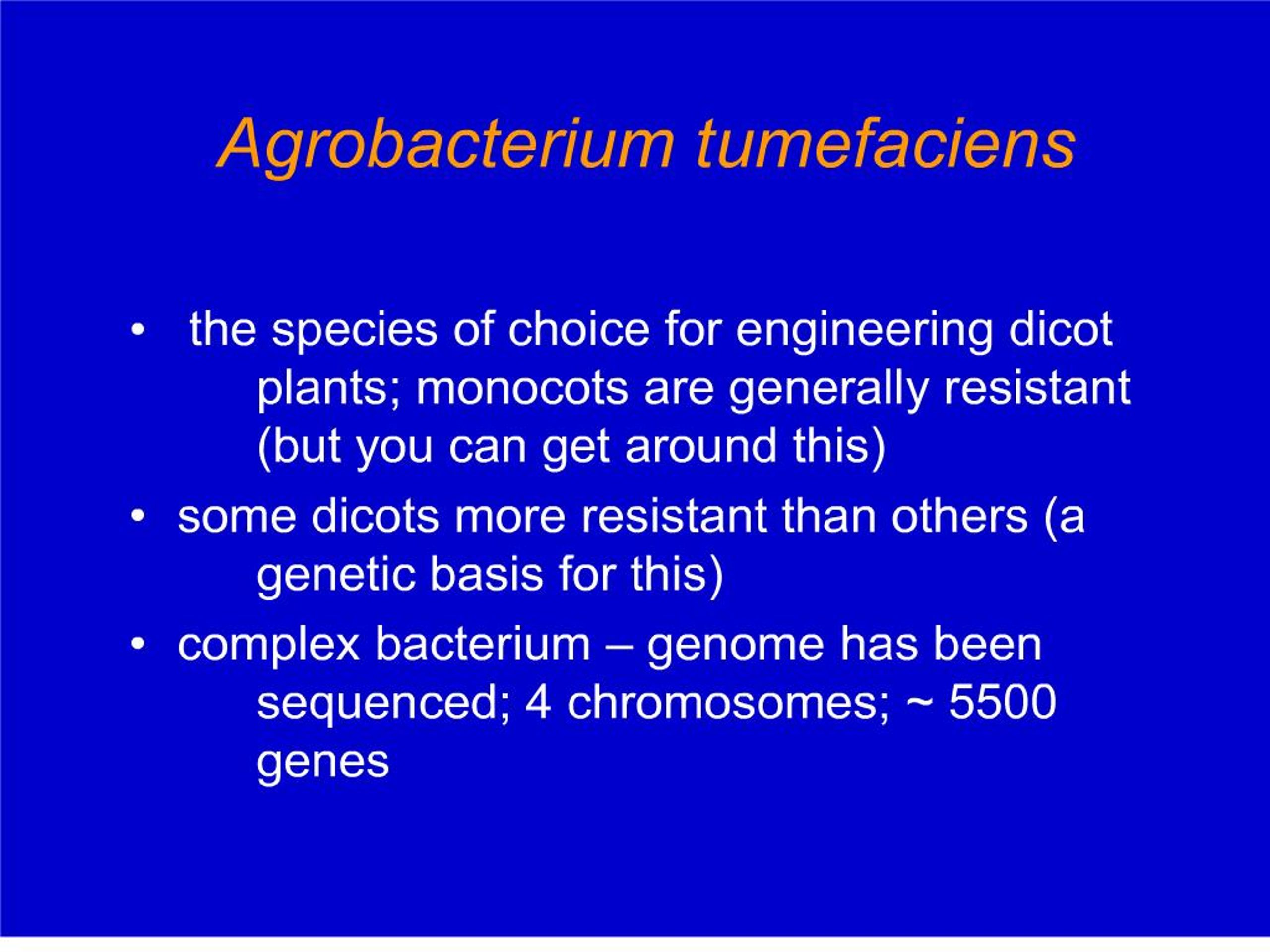 Ppt Making Transgenic Plants And Animals Powerpoint Presentation Free Download Id 197546