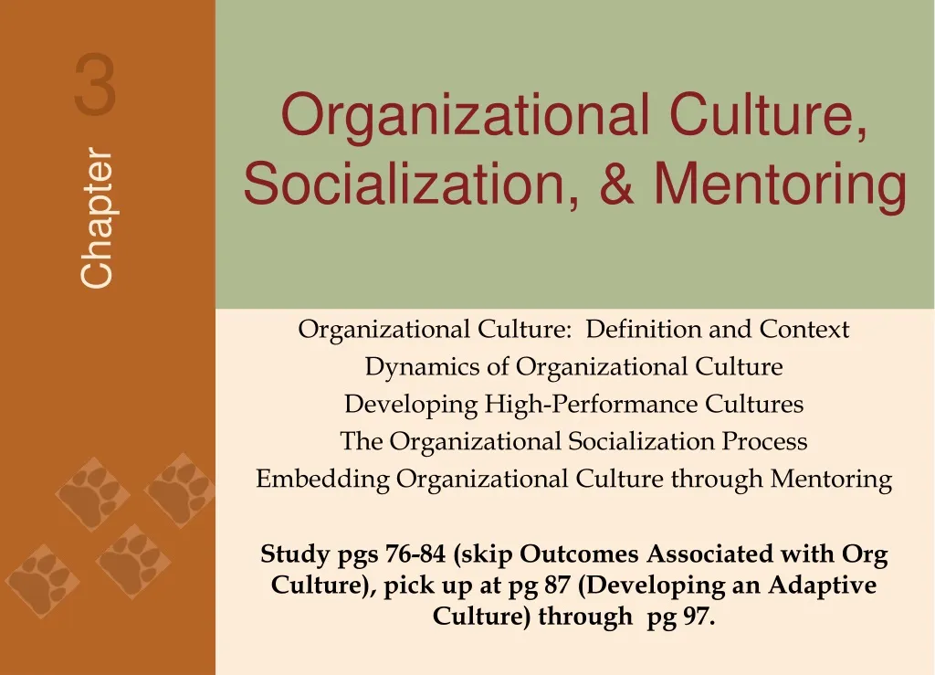organizational culture socialization mentoring n.