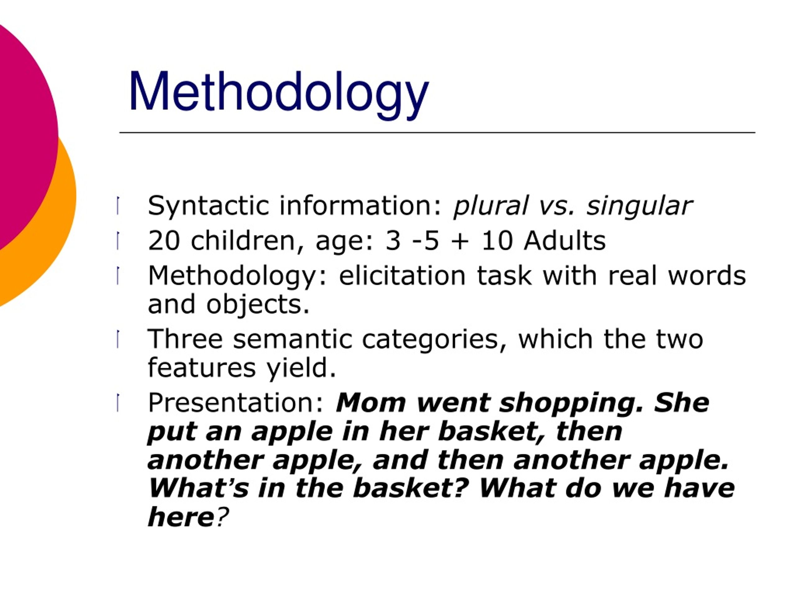 methodology definition plural